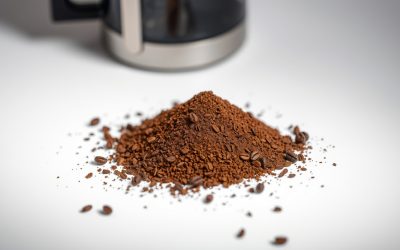 Best Coffee Ground For French Press 2026