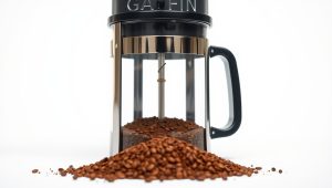 Best French Press Coffee Grind 2026