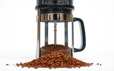 Best French Press Coffee Grind 2026