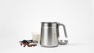 Best Milk Frother/Steamer 2026