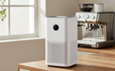 Air Purifier For Kitchen Smells