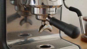 Best Bottomless Portafilter for Gaggia Classic Pro