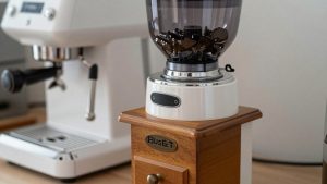Best Budget Coffee Grinder: What a Low Price Really Buys You
