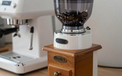 Best Budget Coffee Grinder: What a Low Price Really Buys You