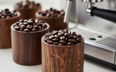 Best Coffee Bean Vaults for Freshness and Easy Dosing