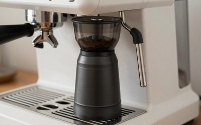8 Best Espresso Grinder under 300 for Home (October 2026) Honest Reviews