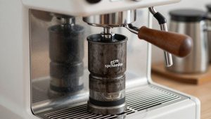 Best Grinder for Ecm Synchronika