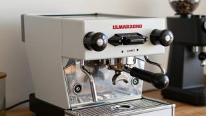 Best Grinder for La Marzocco Linea Mini