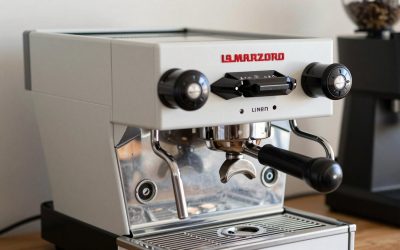 Best Grinder for La Marzocco Linea Mini