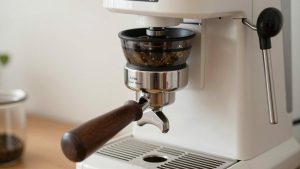 Best Grinder for Linea Mini