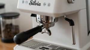 Best Grinder for Rancilio Silvia