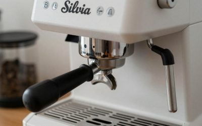 Best Grinder for Rancilio Silvia