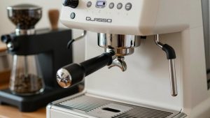 Best Grinder to Pair with Gaggia Classic Pro