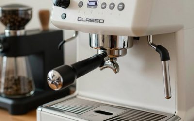 Best Grinder to Pair with Gaggia Classic Pro