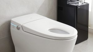 Best Smart Toilets with Bidets for Every Bathroom