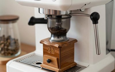 Best Starter Espresso Grinder (October 2026) Reviews & Picks