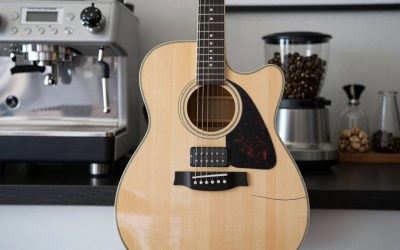 Best Takamine Guitars for Every Budget and Style