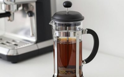 6 Best Travel French Press (October 2026) Complete Guide