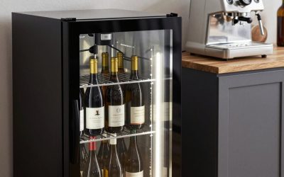 Best Wine Fermentation Fridge for Home Winemakers