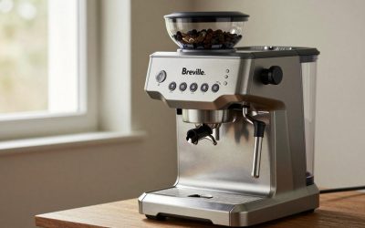 Breville BCG820BSS the Smart Grinder Pro