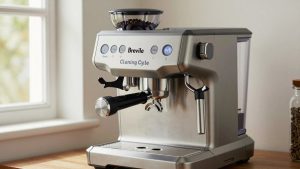 Breville Espresso Machine Cleaning Cycle