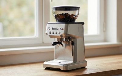 Breville Smart Grinder Pro Reddit