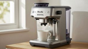 Breville Water Filter BES870XL