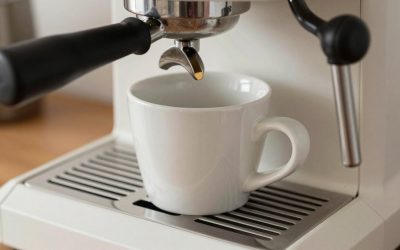 Ceramic vs Stainless Coffee Grinder Burrs: Which Is Right for Your Home (2026)