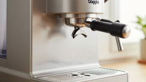 Gaggia Classic Backflush Disc