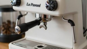 La Pavoni Professional Review