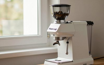 Mazzer Luigi Srl Espresso Grinder