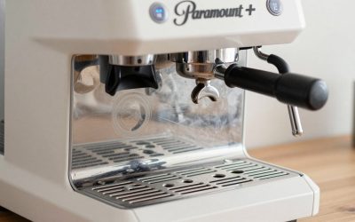 Paramount Plus vs Netflix CY Complete Comparison Guide